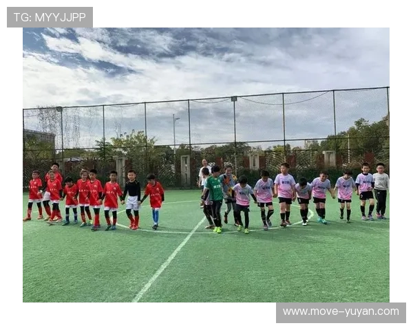 足球巨星的儿子与普通女孩的青涩爱情故事在绿茵场上绽放光彩